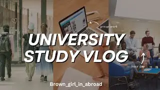 University of Netherlands 🇳🇱 #abroadstudies #netherlands #university #europevisa #studyabroad #job