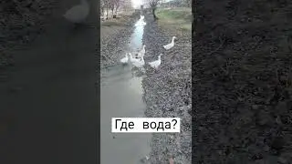 Я думаю зимой везде так