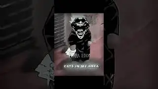 Sigma cat ☠️  #sigmaedit #shortvideos #phonk #funny #edit #anime