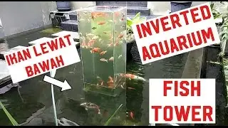 Cara membuat akuarium biasa jadi luar biasa inverted aquarium fish tower