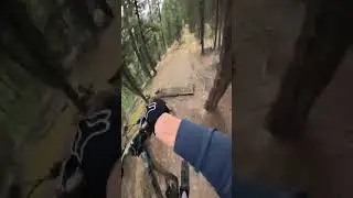 Insane Mountain Biking Trail jumps