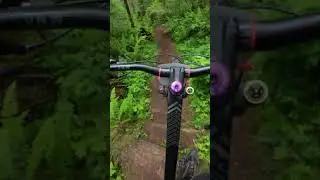 racing is hard