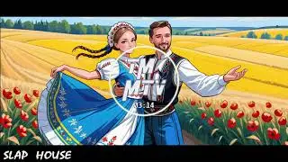 Ana Danch -  Підманула (Anton FreeON Remix)