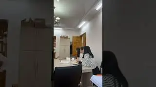 Коллеги