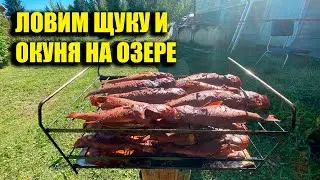 Ловля Толстого Окуня и Щуки на Озере