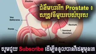 ជំងឺ​មហារីក Prostate ៖ សត្រូវ​ទីមួយ​របស់​បុរស, Khmer Health