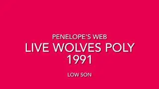 Penelope’s Web Live 1991 Wolves Polytechnic