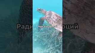 Потратила 30.000₽ на дайвинг 😳 стоит ли того ?