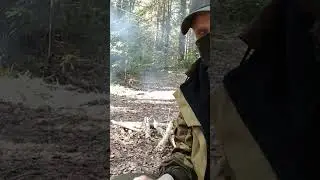 Простой, но малоизвестный способ найти воду в лесу.