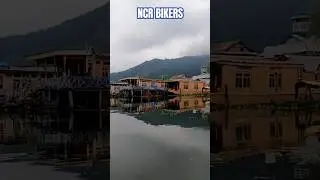 Dal lake Kashmir Srinagar #dallakesrinagar #dallake #roadtrip #dallakekashmir