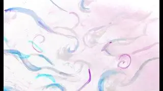 Why I Haven’t Been Posting Videos