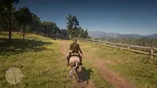 GTX 1660 Super test - Red Dead Redemption 2