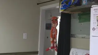 Night of the Tails Doll