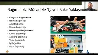 Madde Bağımlılığı İle Mücadelede Çayeli Bakır Yaklaşımı