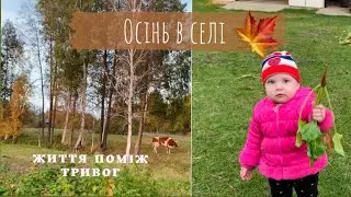 ОСІНЬ ЗАВІТАЛА ДО НАС🏡 СІЛЬСЬКІ ЗАМАЛЬОВКИ🍁