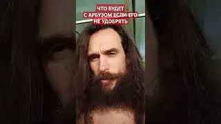 КАКОЙ ВЫРАСТЕТ АРБУЗ БЕЗ УДОБРЕНИЯ litle watermelon