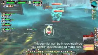 Tidy Plates: Threat Plates Demo [Sara's Pally Tank PoV]