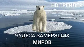 ФИЛЬМ «ЧУДЕСА ЗАМЁРЗШИХ МИРОВ» (2024) – HD ТРЕЙЛЕР.
