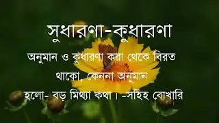 সুধারণা কুধারণা