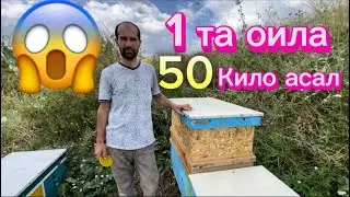 1 ойлик иш жарайони