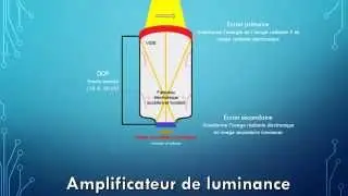 Fluorographie