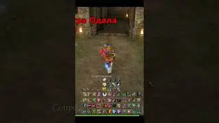 Странник Ветра Одала в Lineage 2! Гайд на ПВ в Main.