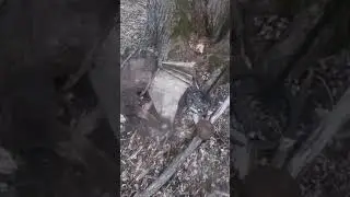 Many Metal Detecting Finds!