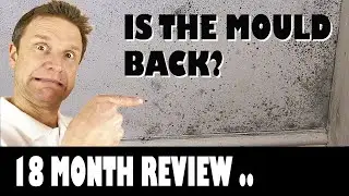 Has the Mould Come Back - 18 Month Review?
