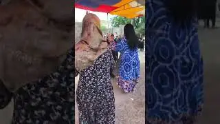 Эльмира Саидова