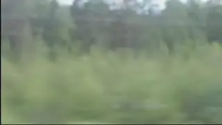 Аркадий Наумович Петров