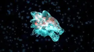 كيفية تطبيق إنتقال جليدي على اللوجو افتر افكت  _  after effects