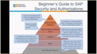 Explore the basic architecture of SAP Security and Authorizations