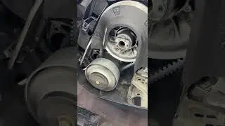 IMG 3355