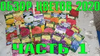 Цветы для моего сада.Часть 1