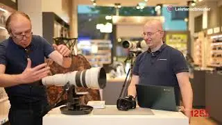 Leistenschneider Live: Wildlife Fotografie