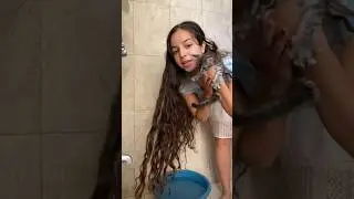 Giving my new kitten her first bath🛁🐈 #cat #kitten #pets