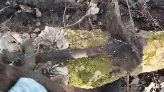 Павел 1 и куча металла