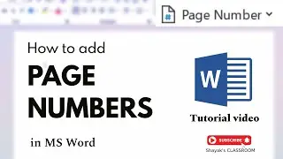 How to Add Page Numbers in MS Word || MS Word for Beginners