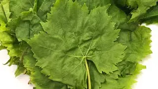 Grape leaves for the winter! The EASIEST way 