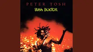Bush Doctor (2002 Remaster)
