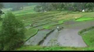 Angin Malam - Asben