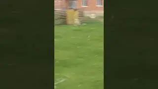 И что теперь будет с садом?