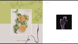 split screen portfolio
