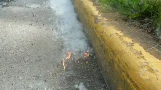 Burning cottonwood seed drift banks