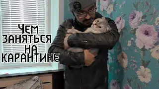КОНТЕНТ ДЛЯ КАРАНТИНА