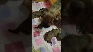 Утро начинается не с кофе🤗🤗🤗🙏😍