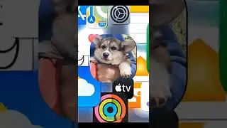 КРУТОЙ ЭФФЕКТ 