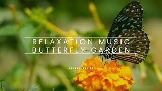 Relaxation Music | Butterfly Garden | Stress Relief