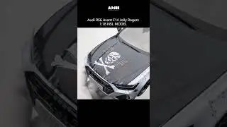 Audi RS6 Avant F-14 Tomcat Jolly Rogers / 