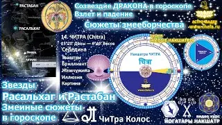 Звезда Растабан-драконий сюжет в гороскопе/Звезда Расальхаг -сюжеты яда/Ищите женщину/Читровы сюжеты